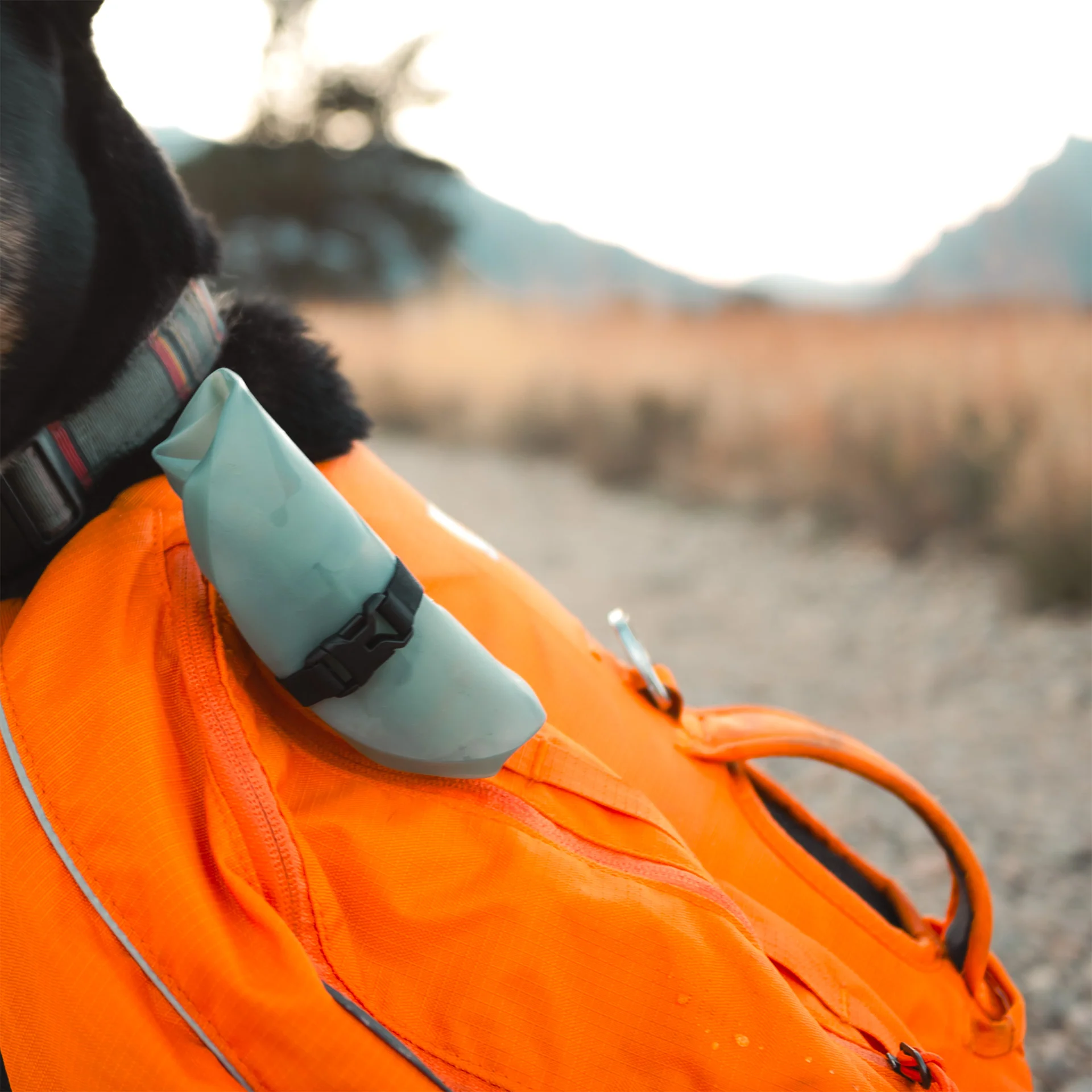 Rover Dog Bowl - Image 4